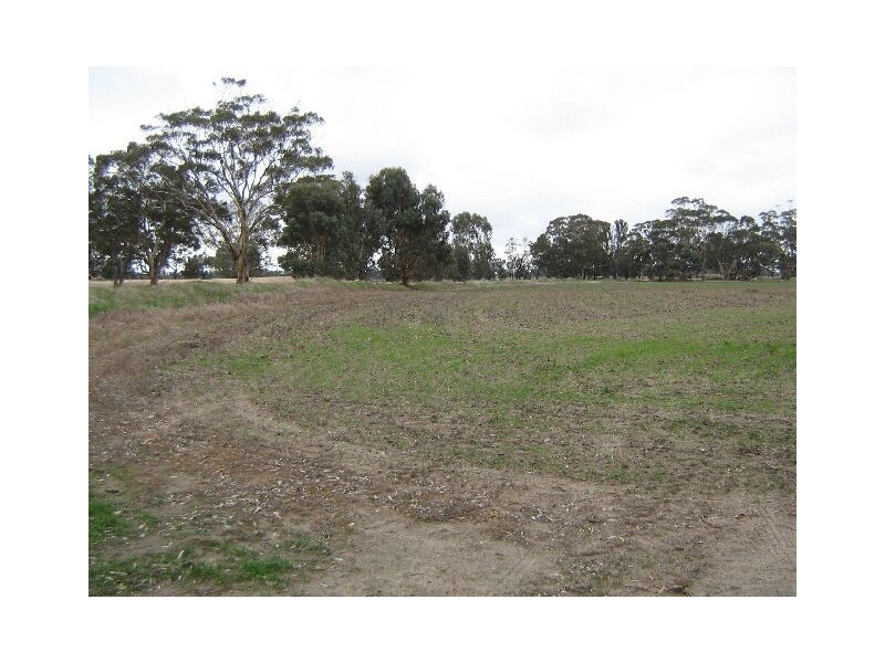 Lot 100,  Golf Course Road, Bordertown SA 5268
