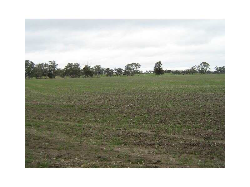 Lot 100,  Golf Course Road, Bordertown SA 5268