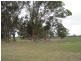 Lot 100,  Golf Course Road, Bordertown SA 5268