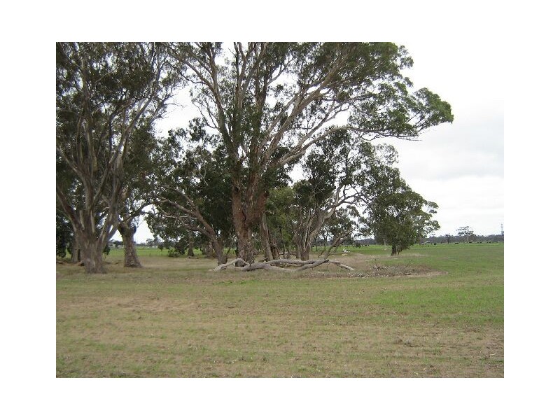 Lot 100,  Golf Course Road, Bordertown SA 5268