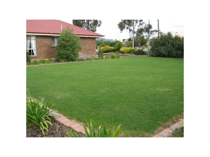 101 South Avenue, Bordertown SA 5268