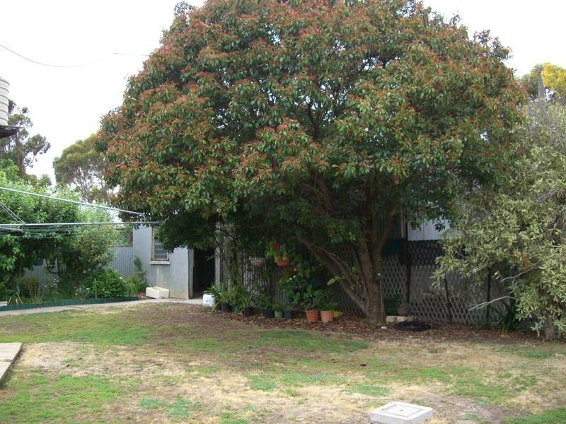 16 Third Street, Keith SA 5267