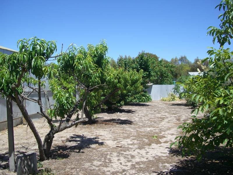 6-8 Ross Ave, Keith SA 5267