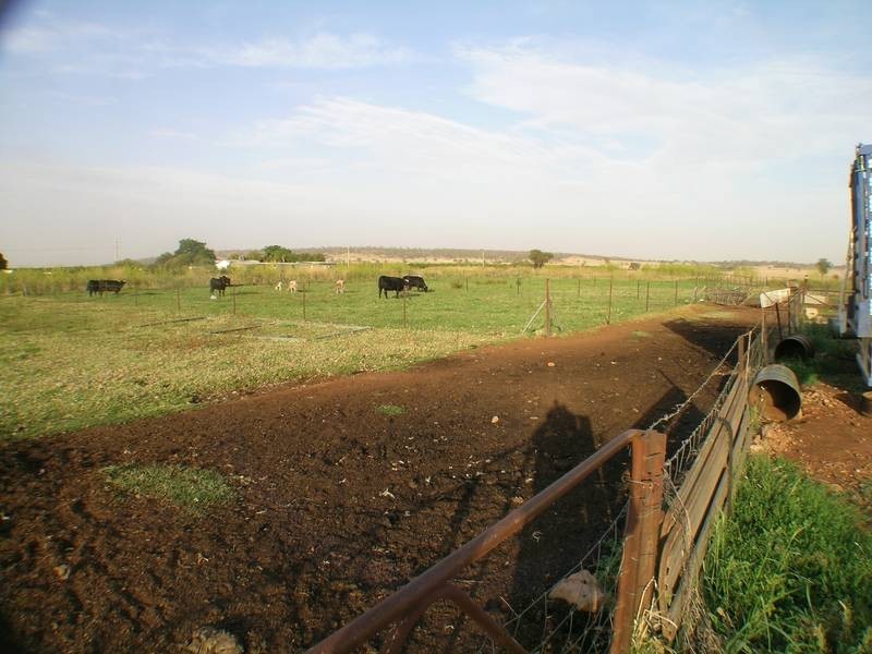 Farm 1677 Noble Street, Beelbangera NSW 2680