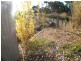Farm 98a Morley Road, Yoogali NSW 2680