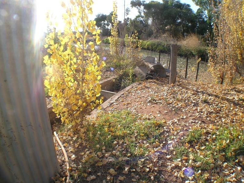 Farm 98a Morley Road, Yoogali NSW 2680