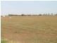 Farm 98a Morley Road, Yoogali NSW 2680