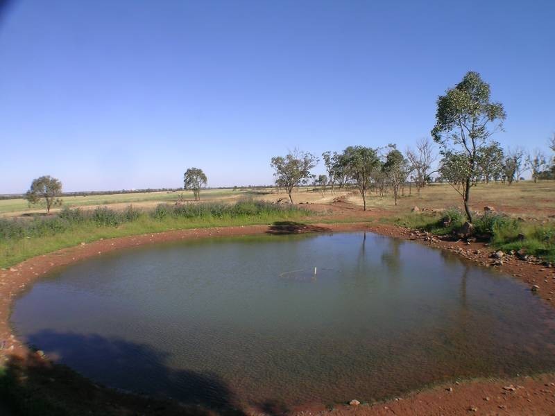 Lot 11,  Back Hillston Road, Tabbita NSW 2652