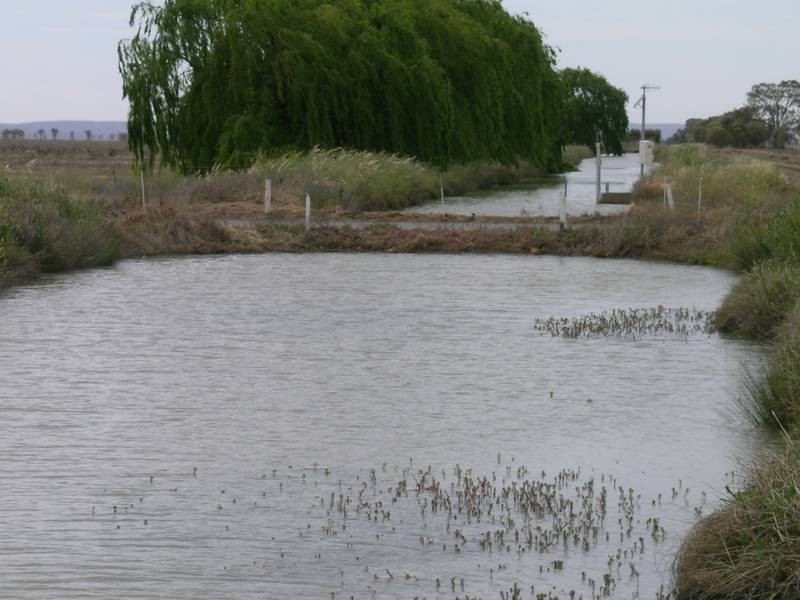1722 Griffith Leeton Road, Murrami NSW 2705