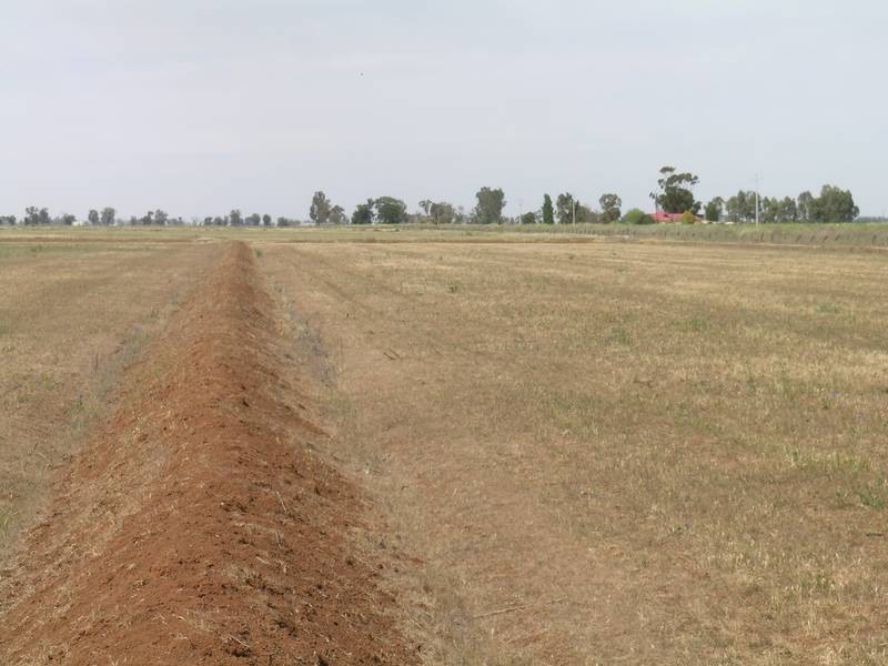 1722 Griffith Leeton Road, Murrami NSW 2705