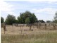 1722 Griffith Leeton Road, Murrami NSW 2705