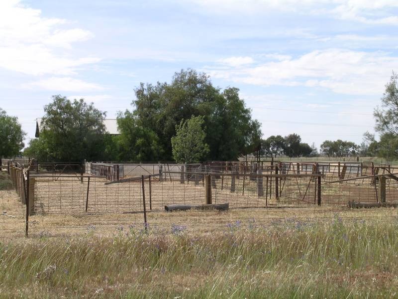 1722 Griffith Leeton Road, Murrami NSW 2705