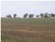 1722 Griffith Leeton Road, Murrami NSW 2705