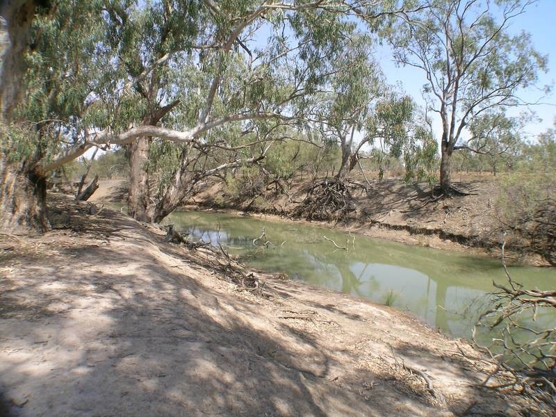 Lot 12,  Lachlan River Road, Hillston NSW 2675