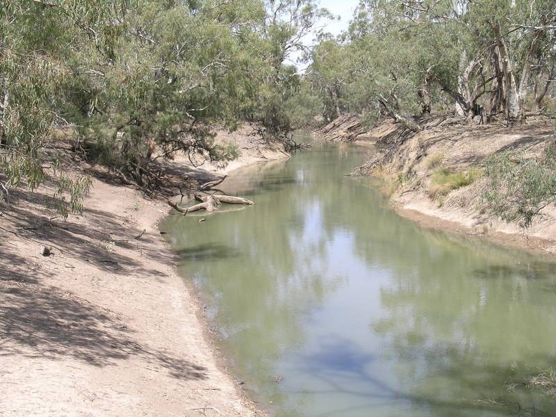 Lot 12,  Lachlan River Road, Hillston NSW 2675