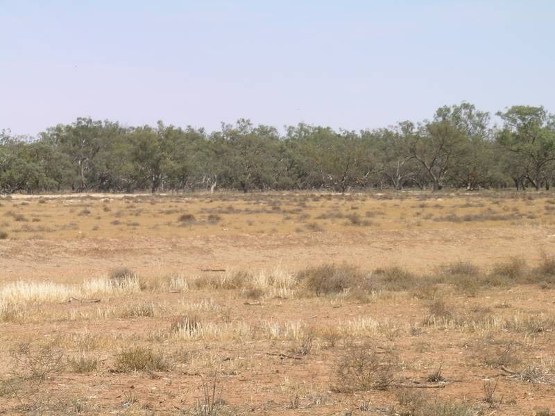 Lot 12,  Lachlan River Road, Hillston NSW 2675