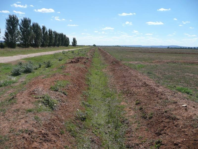 Farm 2572 McDonald Road, Bilbul NSW 2680