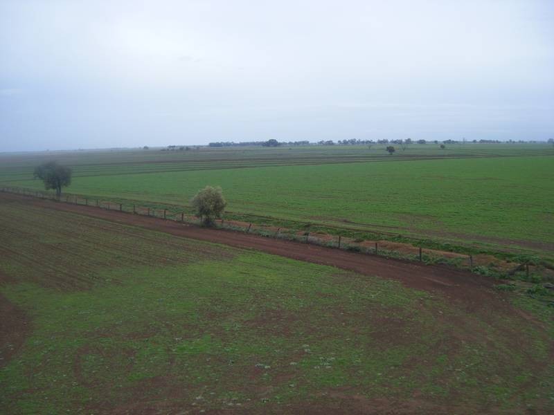 Farm 1134a Calorafield, Murrami NSW 2705