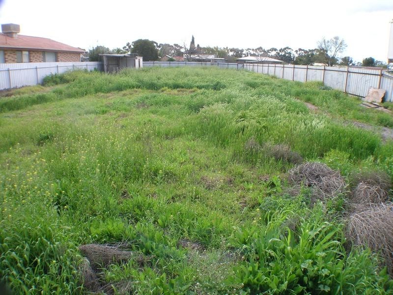 15 Taylor Road, Griffith NSW 2680