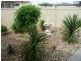 34 Brooks Street, Griffith NSW 2680