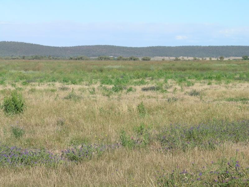 Farm 1615 Gribble Road, Yenda NSW 2681