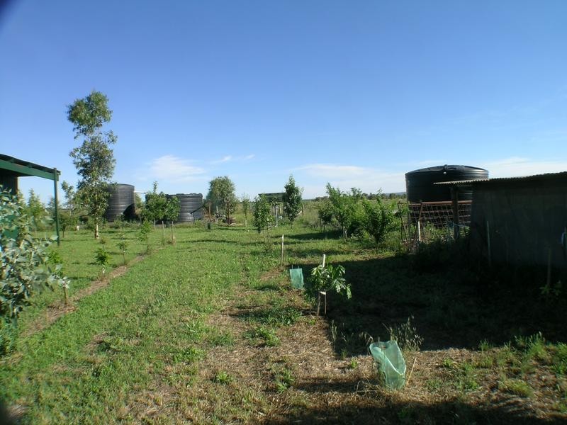 Farm 1615 Gribble Road, Yenda NSW 2681