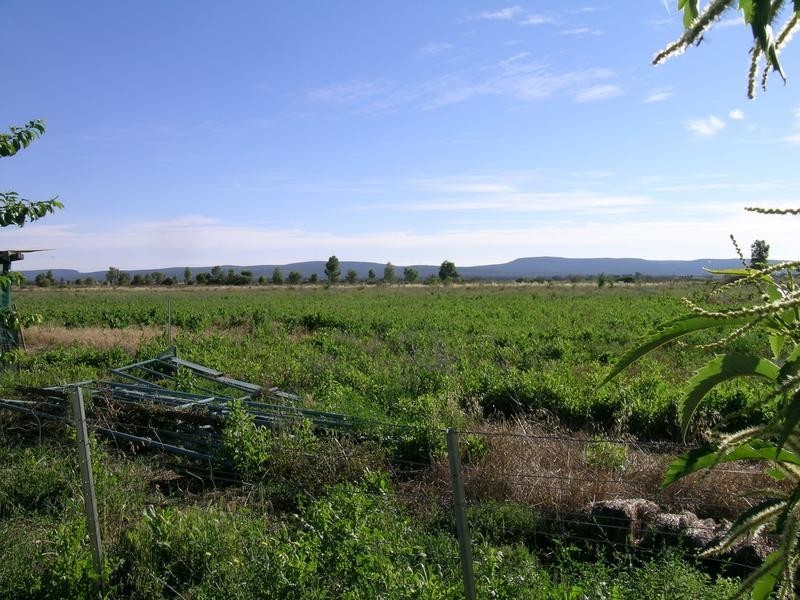 Farm 1615 Gribble Road, Yenda NSW 2681