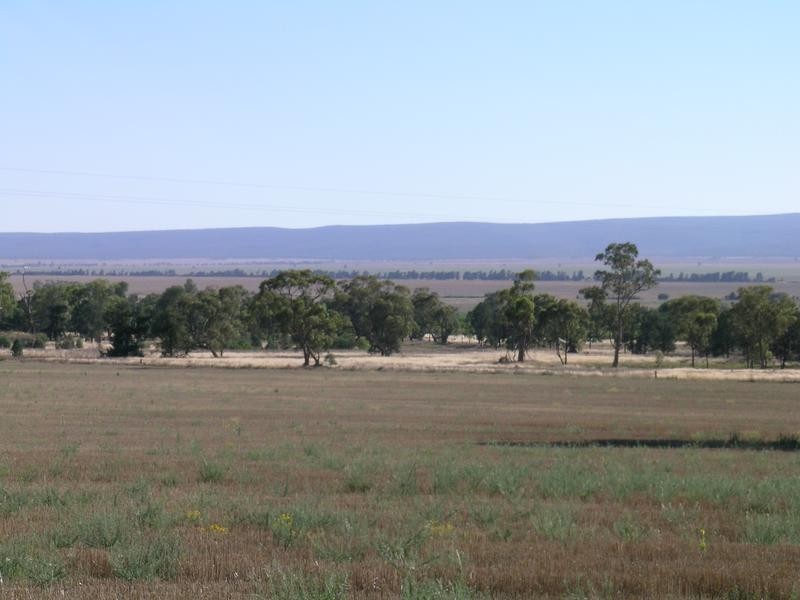 Lot C, 1631 Quarry Road, Beelbangera NSW 2680