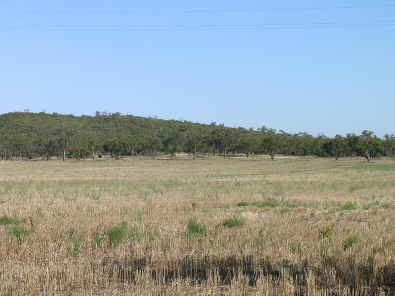 Lot C, 1631 Quarry Road, Beelbangera NSW 2680