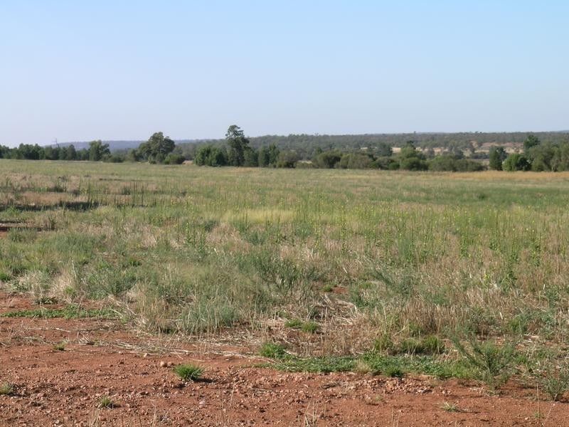 Lot C, 1631 Quarry Road, Beelbangera NSW 2680