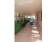 24 Brooks Street, Griffith NSW 2680
