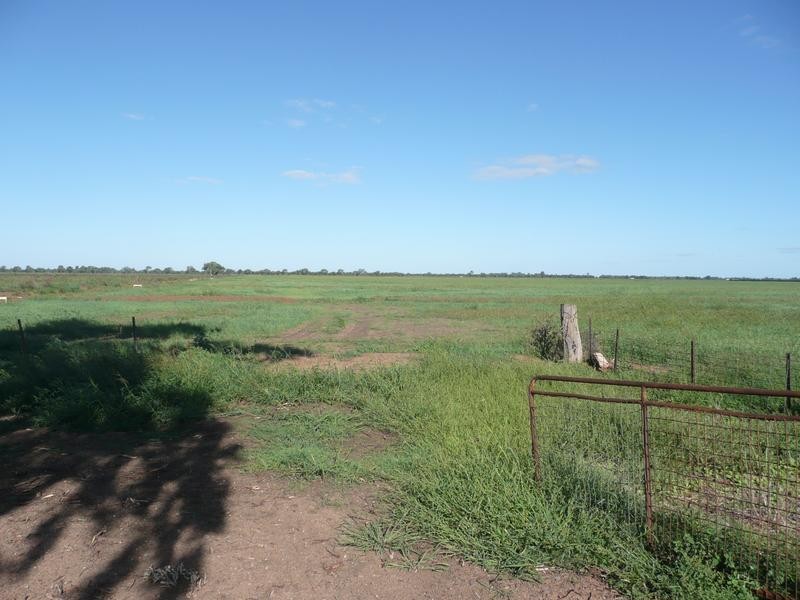 Farm 569 Moseley Road, Beelbangera NSW 2680