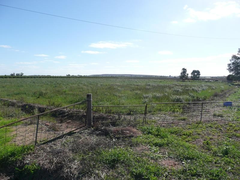 Farm 569 Moseley Road, Beelbangera NSW 2680