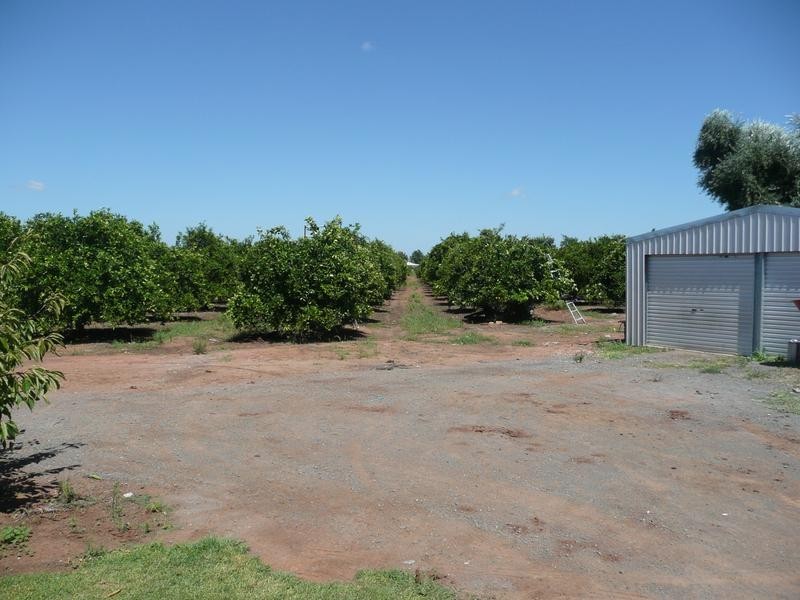 Farm 450 Morley Road, Yoogali NSW 2680