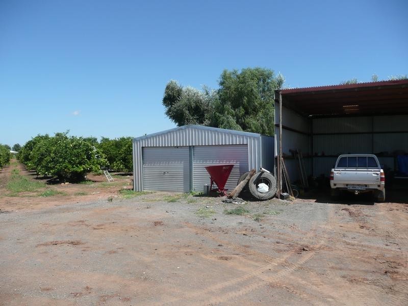 Farm 450 Morley Road, Yoogali NSW 2680