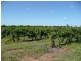Farm 450 Morley Road, Yoogali NSW 2680