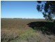 Farm 2636 McKissack Road, Yenda NSW 2681