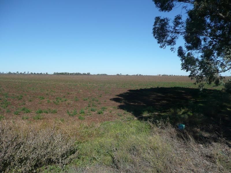Farm 2636 McKissack Road, Yenda NSW 2681