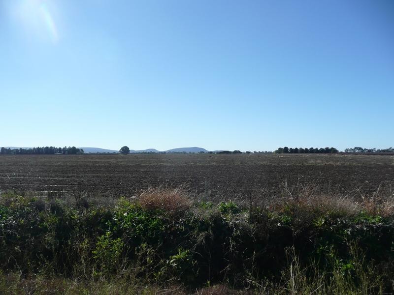 Farm 2636 McKissack Road, Yenda NSW 2681