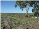 Farm 569b Moseley Road, Beelbangera NSW 2680