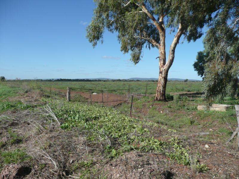 Farm 569b Moseley Road, Beelbangera NSW 2680