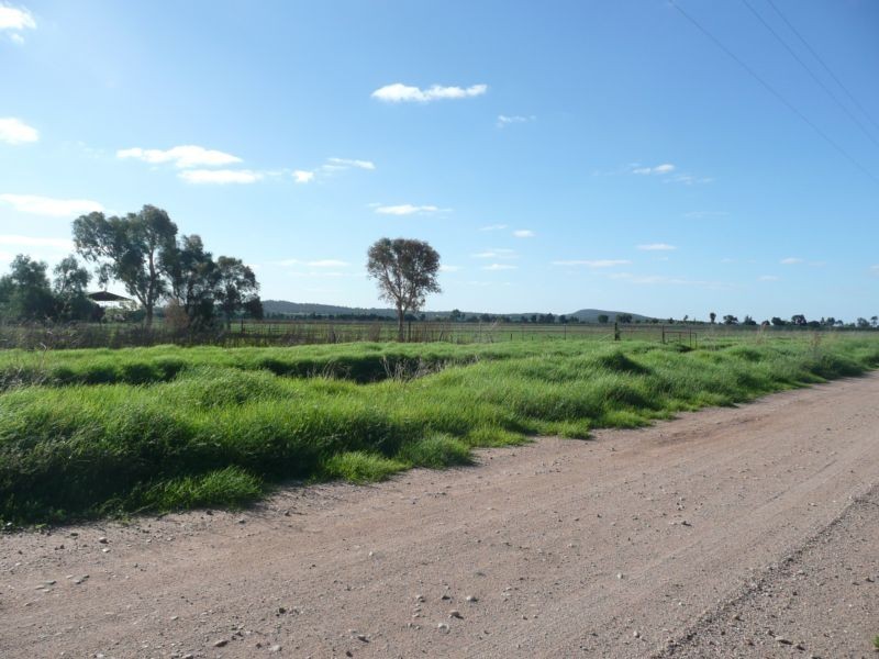 Farm 569b Moseley Road, Beelbangera NSW 2680