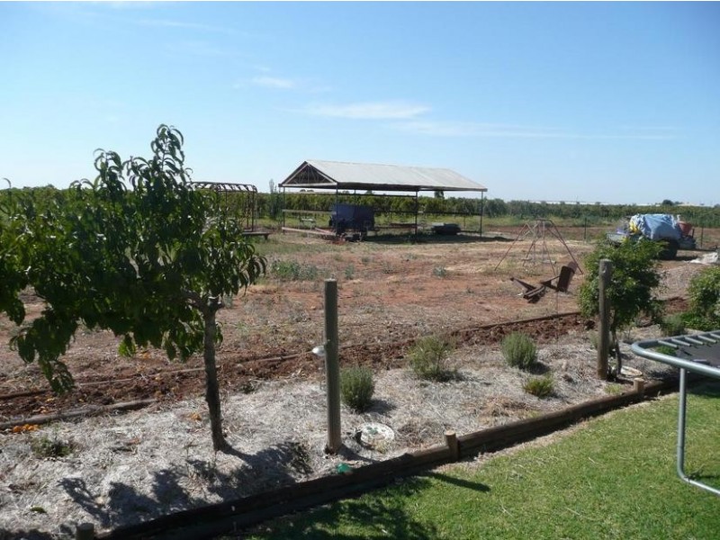 Farm 1561 Twigg Road, Yenda NSW 2681