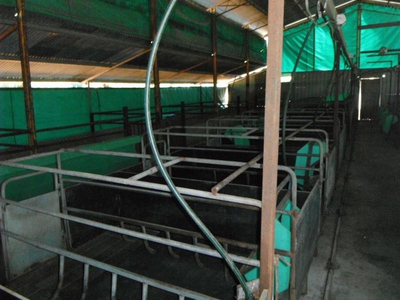 11 Sandy Creek Road, Moombooldool, Barellan NSW 2665