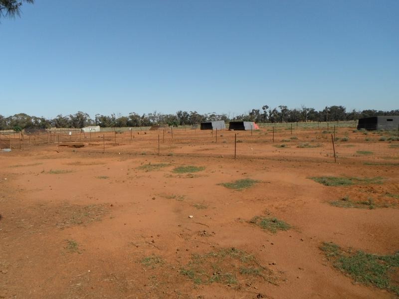 11 Sandy Creek Road, Moombooldool, Barellan NSW 2665