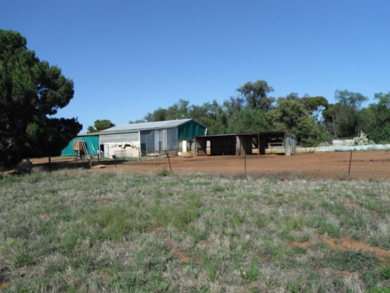 11 Sandy Creek Road, Moombooldool, Barellan NSW 2665