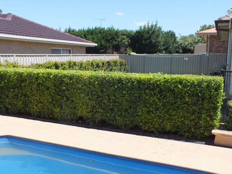 35 Robertson Street, Griffith NSW 2680