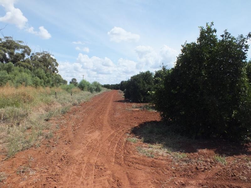Yoogali Citrus Farm, Yoogali NSW 2680