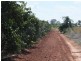 Yoogali Citrus Farm, Yoogali NSW 2680