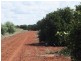 Yoogali Citrus Farm, Yoogali NSW 2680